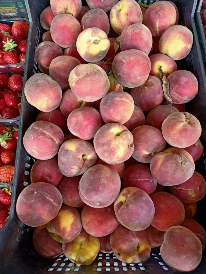 Agriturismo Il Cipresso فادا المظهر الخارجي الصورة
