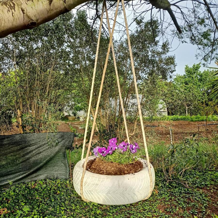 Agriturismo Il Cipresso فادا المظهر الخارجي الصورة
