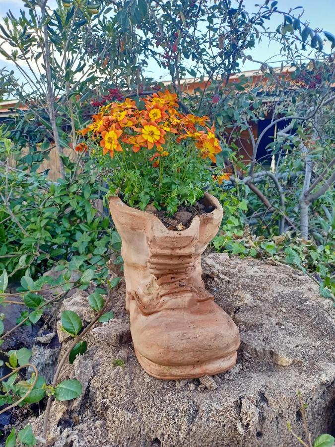 Agriturismo Il Cipresso فادا المظهر الخارجي الصورة