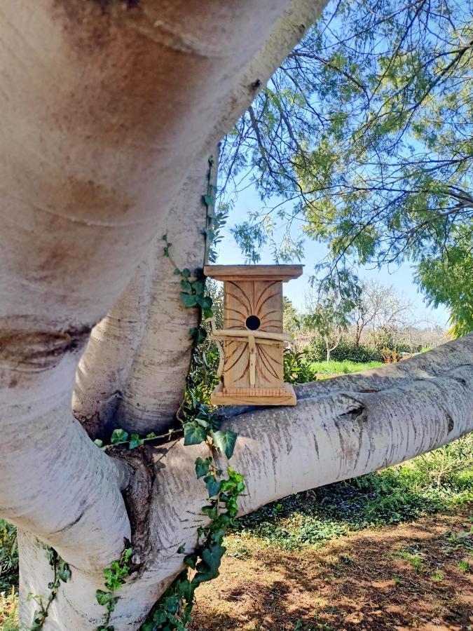 Agriturismo Il Cipresso فادا المظهر الخارجي الصورة