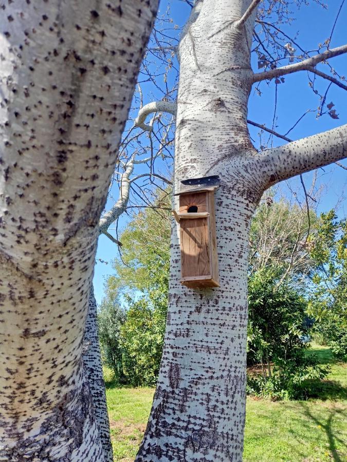 Agriturismo Il Cipresso فادا المظهر الخارجي الصورة