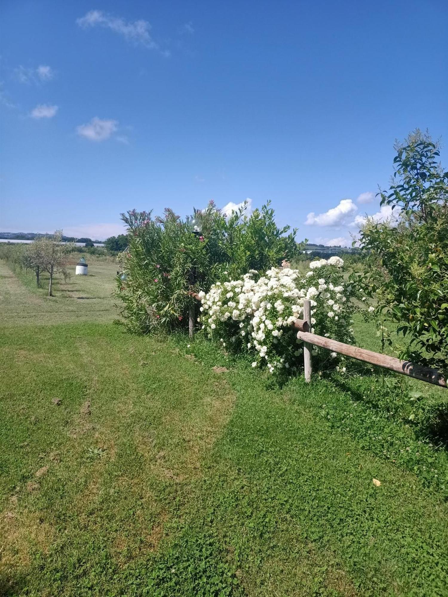 Agriturismo Il Cipresso فادا المظهر الخارجي الصورة