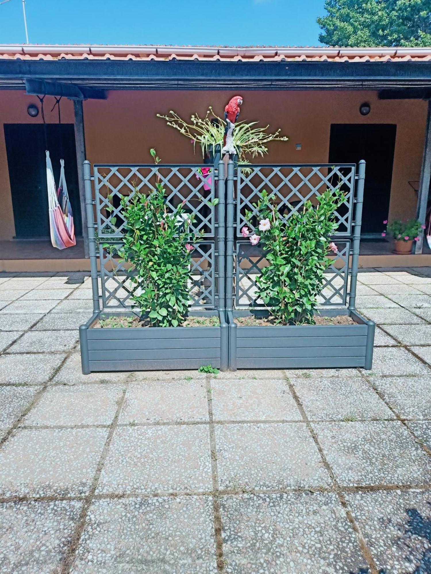 Agriturismo Il Cipresso فادا المظهر الخارجي الصورة