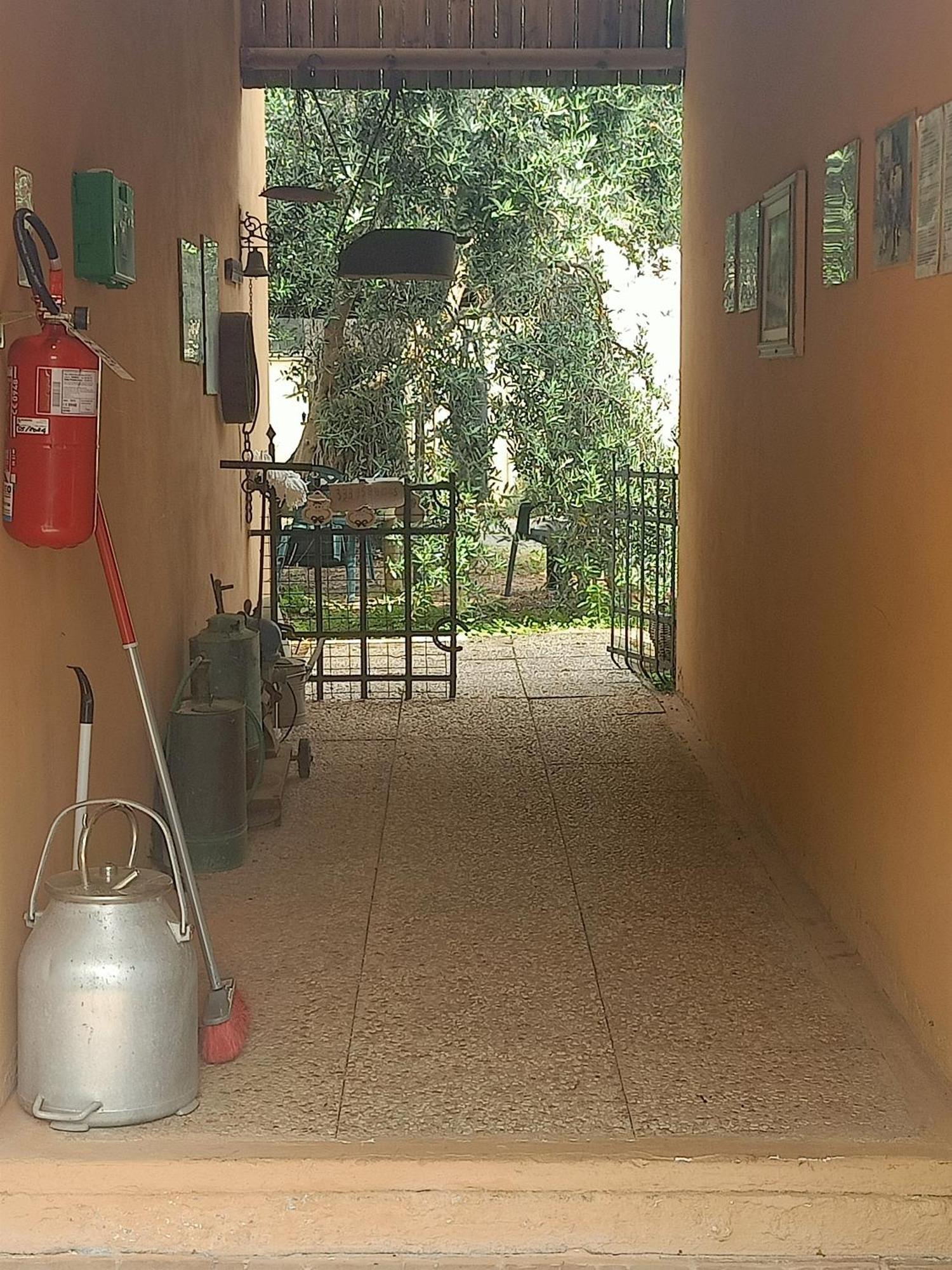 Agriturismo Il Cipresso فادا المظهر الخارجي الصورة